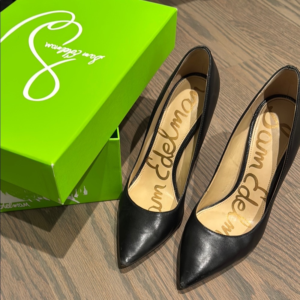 Sam Edelman Hazel Pointed Toe Black Pumps